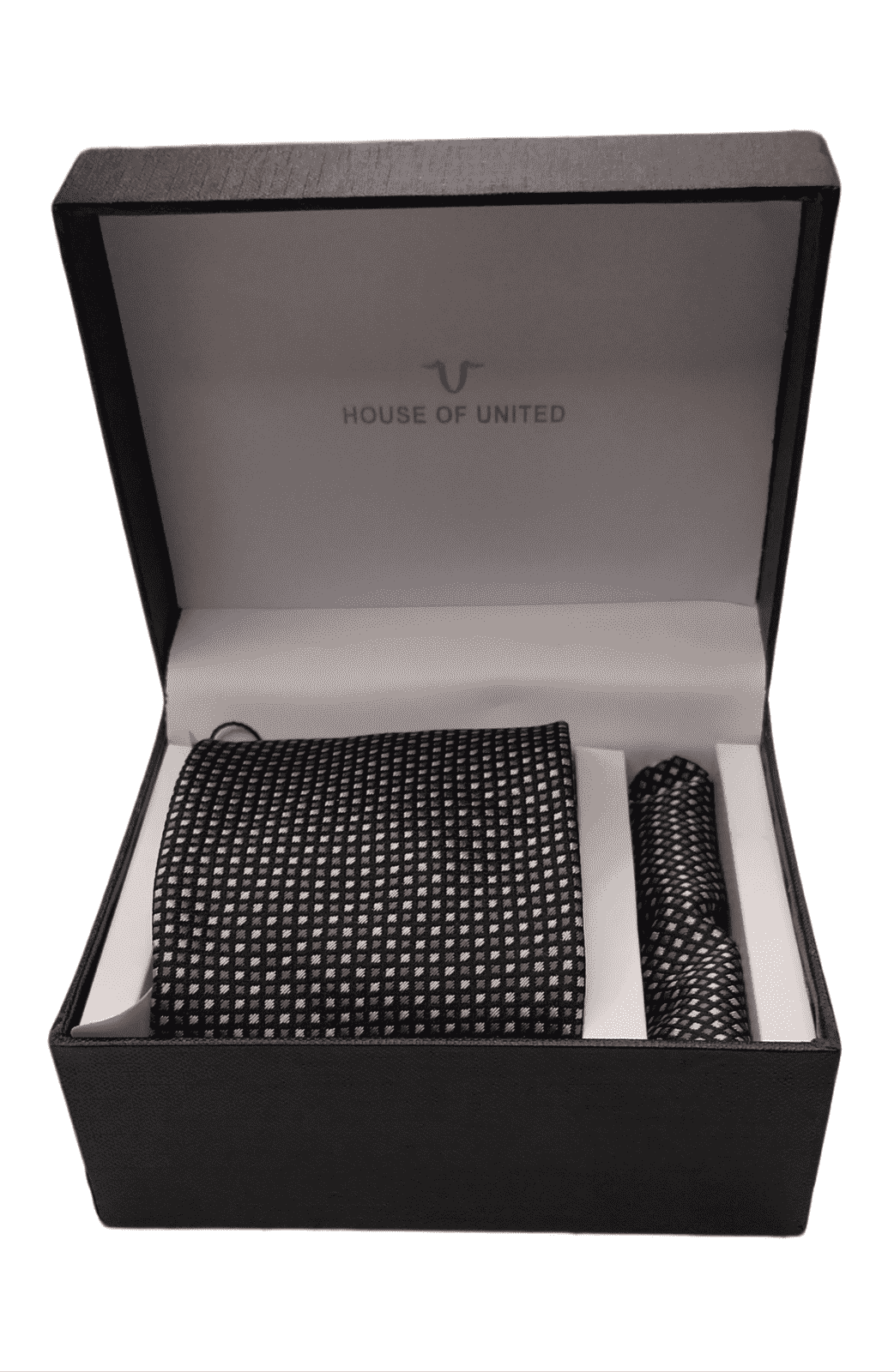 Tie and Pocket square Combo #5162